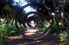 Serenity_at_Mendocino_Coast_Botanical_Gardens.jpg