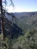 RIM_VIEW_OF_PINE.JPG
