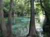 Ginnie_Springs.JPG