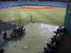 Tampa_Bay_Rays.JPG