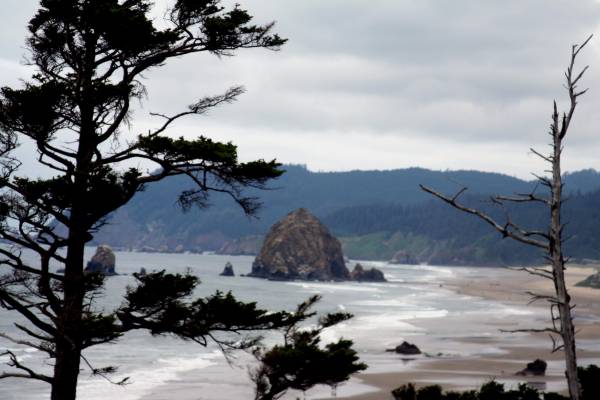 haystack