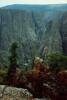 Black_Canyon_6.jpg