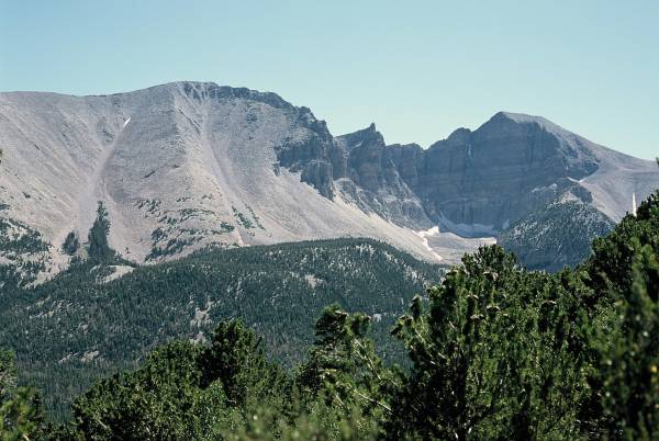 Mount Wheeler, Great Basin National Park