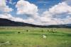 Lamar_Valley.JPG