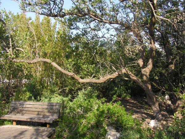 Biscayne National Park