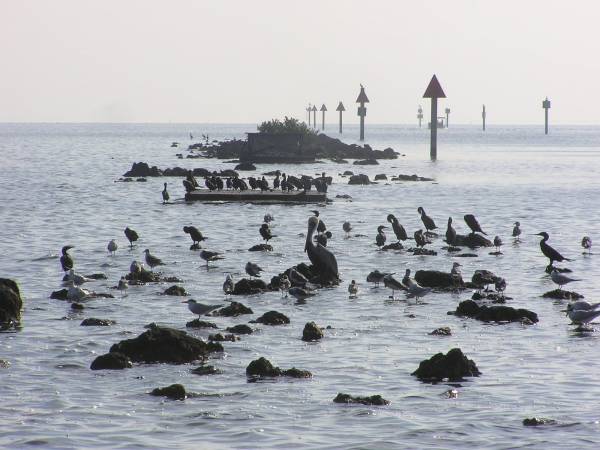 Biscayne National Park