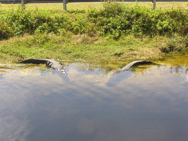 Big Cypress National Preserve