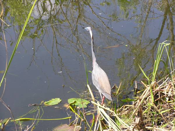 Everglades National Park