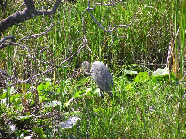 Everglades National Park
