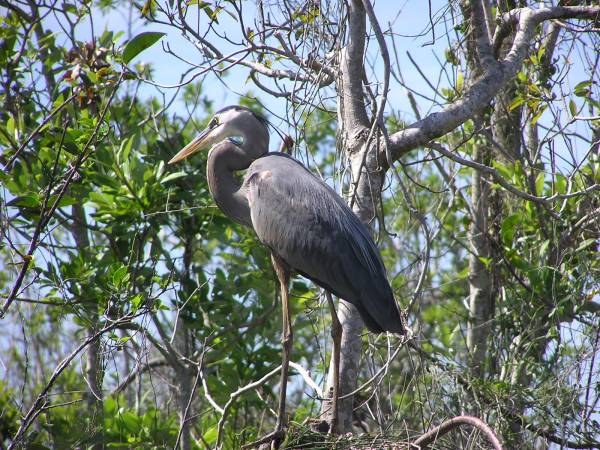 Everglades National Park