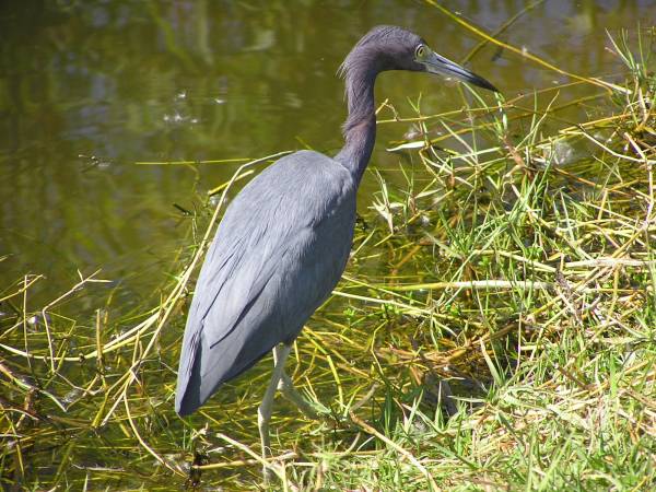 Everglades National Park