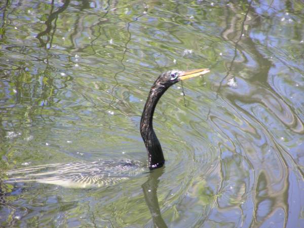 Everglades National Park