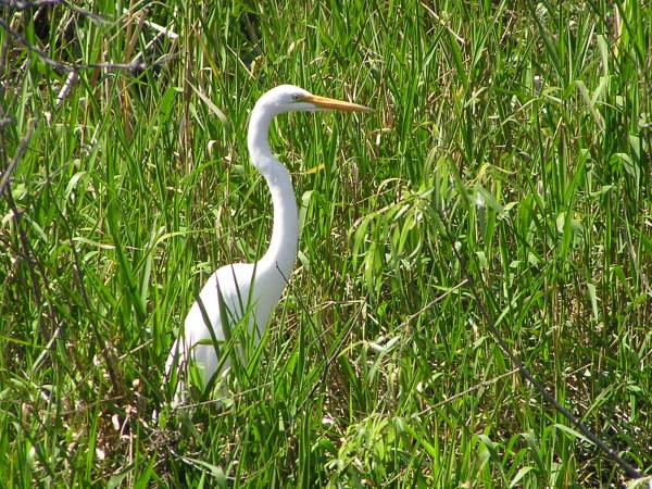 Everglades National Park