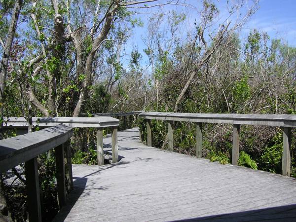 Everglades National Park