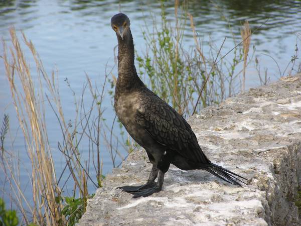 Everglades National Park