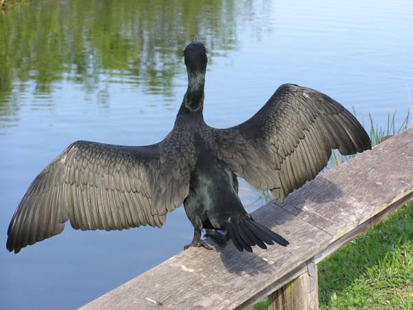 Everglades National Park