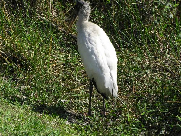 Everglades National Park