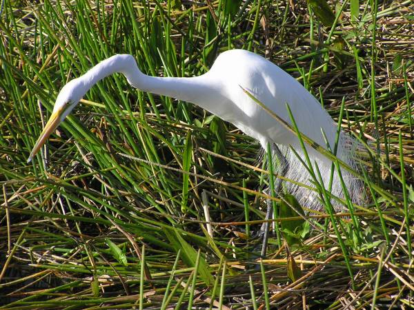 Everglades National Park