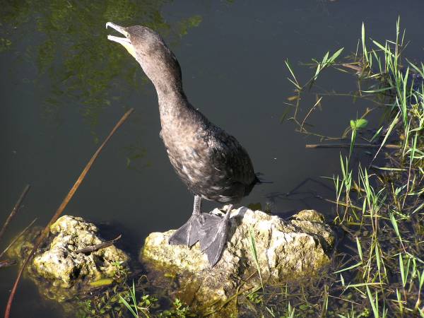 Everglades National Park
