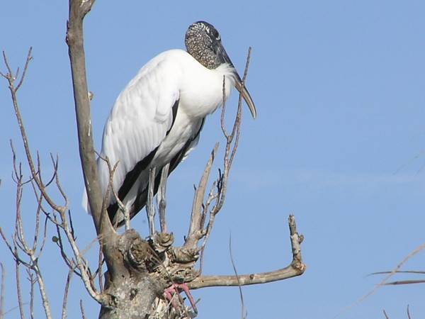Everglades National Park