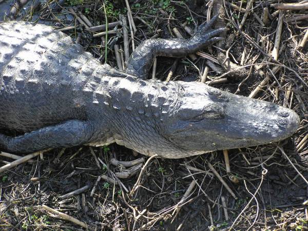 Everglades National Park