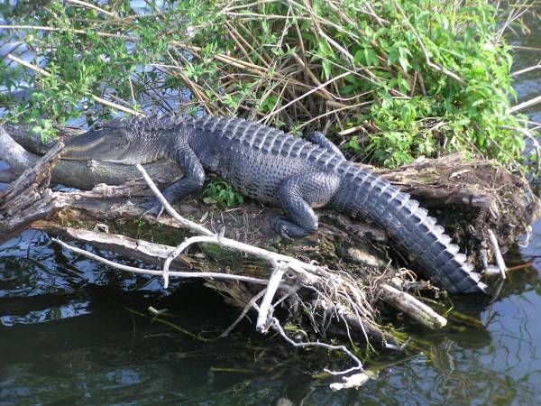 Everglades National Park