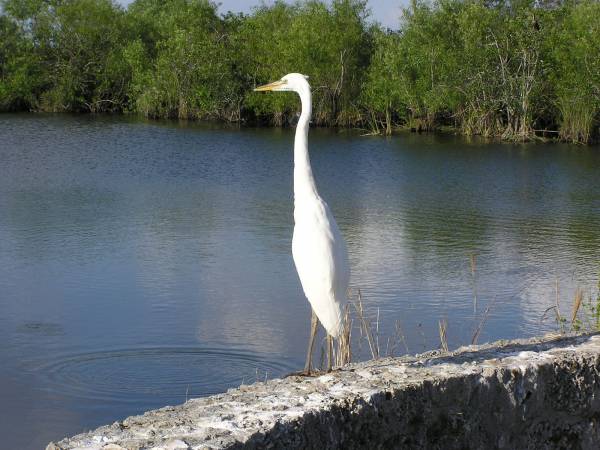 Everglades National Park