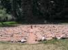 2-47_Brockman_Labyrinth_147.jpg