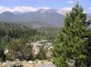 7-30B_Brockman_MtPrincForestOverview_61.jpg