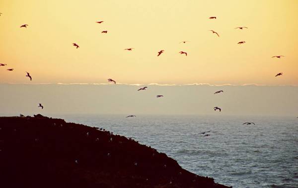 Depoe Bay sunset