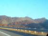 n194900737_30849345_2812.jpg