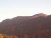 n194900737_30849346_3073.jpg