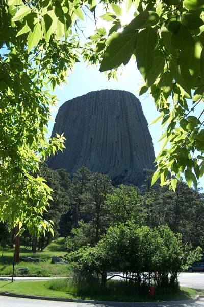Devils Tower framed by trees at the Visitors Center