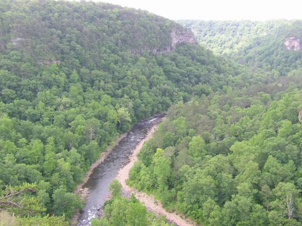 Wolf Creek Overlook View 1