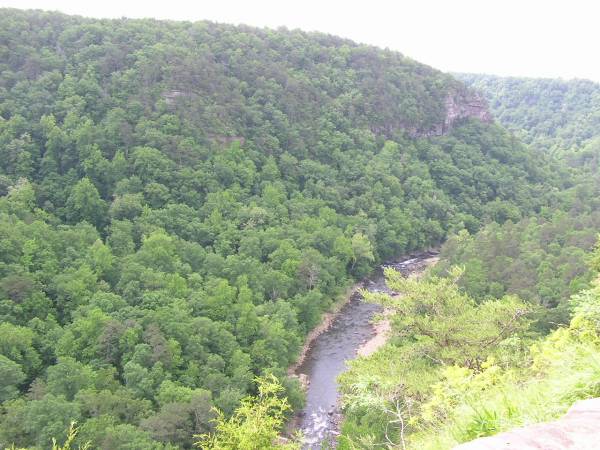 Wolf Creek Overlook View 5