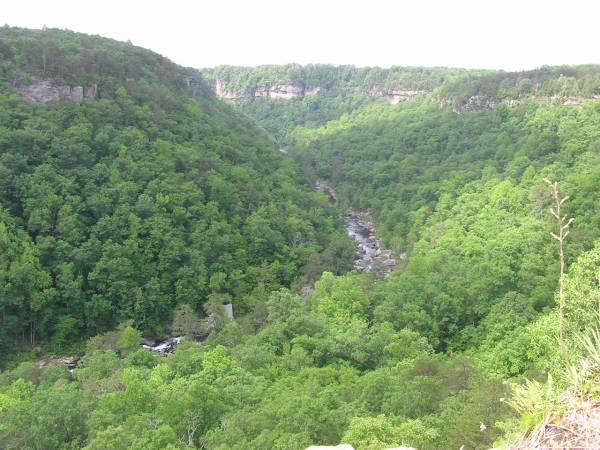 Canyon View Overlook View 5