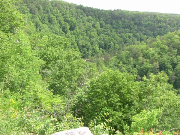 Hawk's Glide Overlook View 1