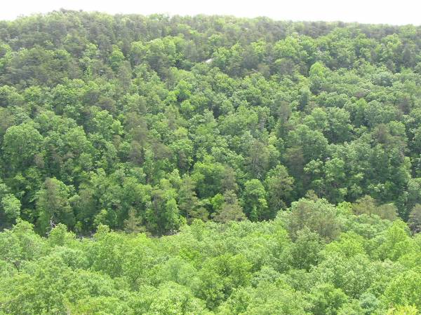 Hawk's Glide Overlook View 3