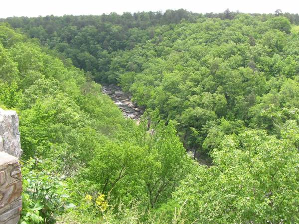 Lynn Overlook View 1