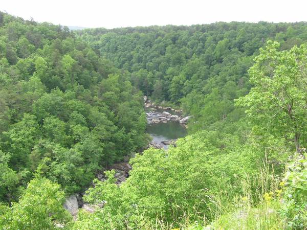 Lynn Overlook View 2