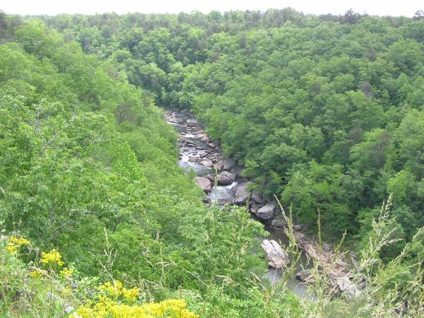 Lynn Overlook View 3