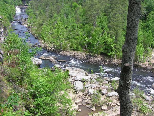 Little River Falls View 3