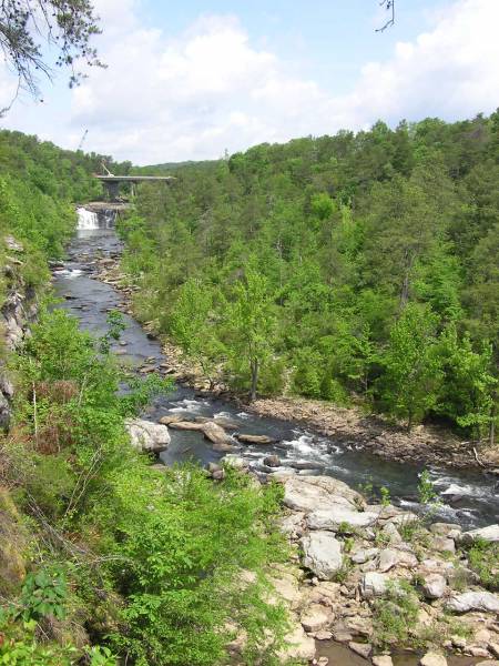 Little River Falls View 5
