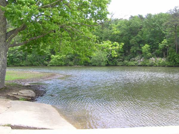 Lake at DeSoto Falls