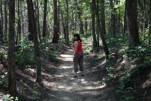 Old Trace, just north of Tupelo