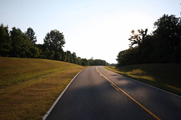 Shadows on the Natchez Trace Parkway