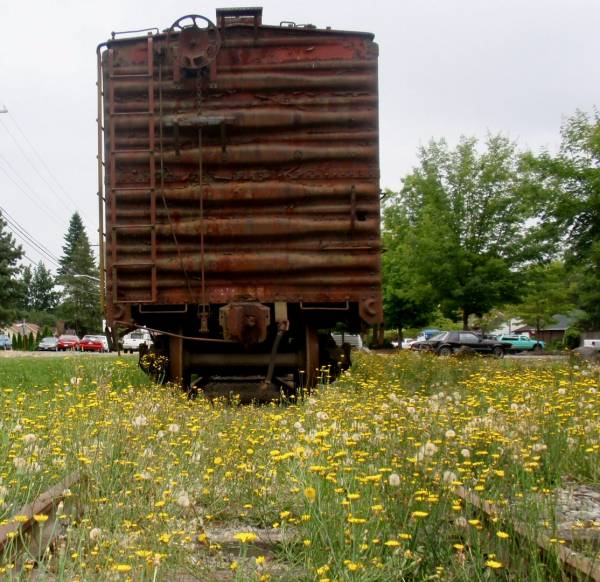 Springtime at the NW Railroad Museum