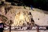 Florissant_Fossil_Beds_3.JPG