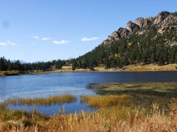 A walk around Lily lake.