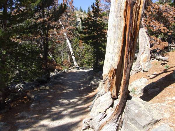 Bear lake trail.